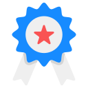 Le professionnalisme